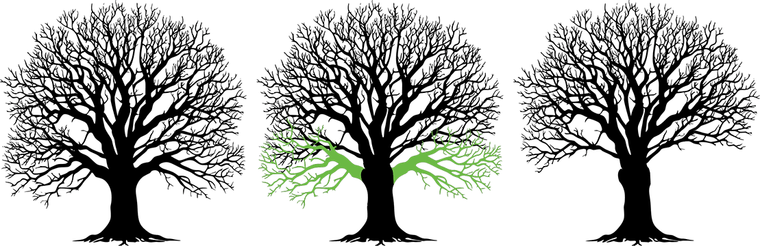 Crown Lifting