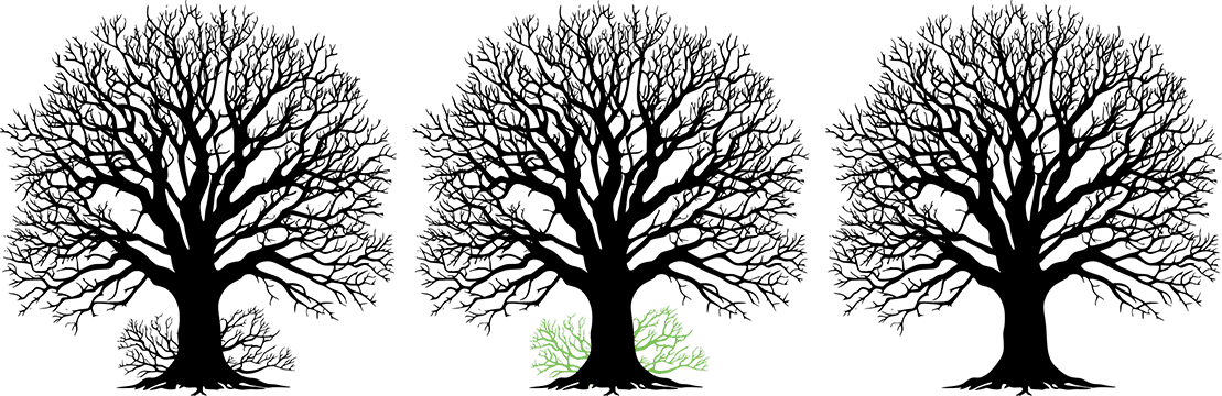 Growth Management